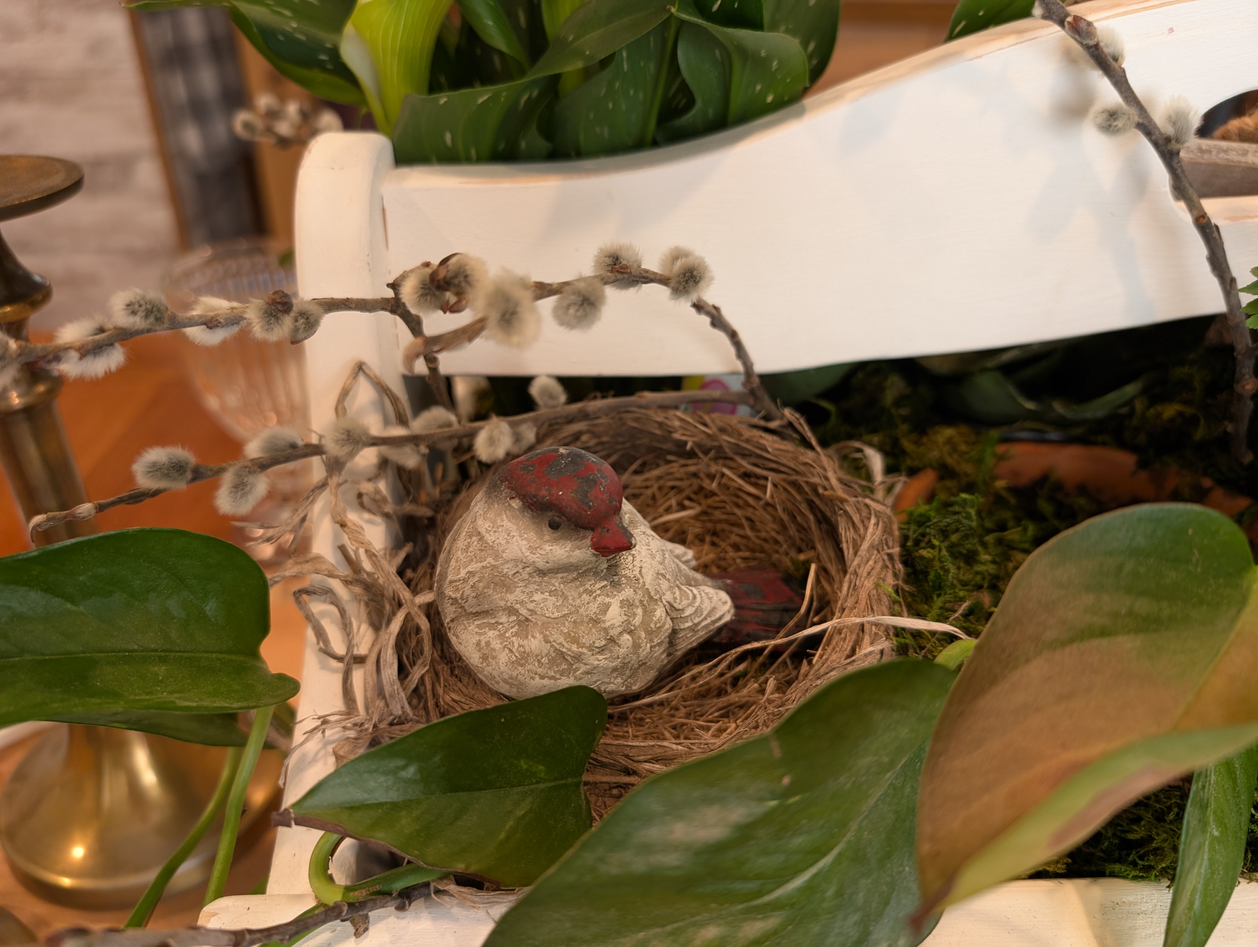 Birds Nest